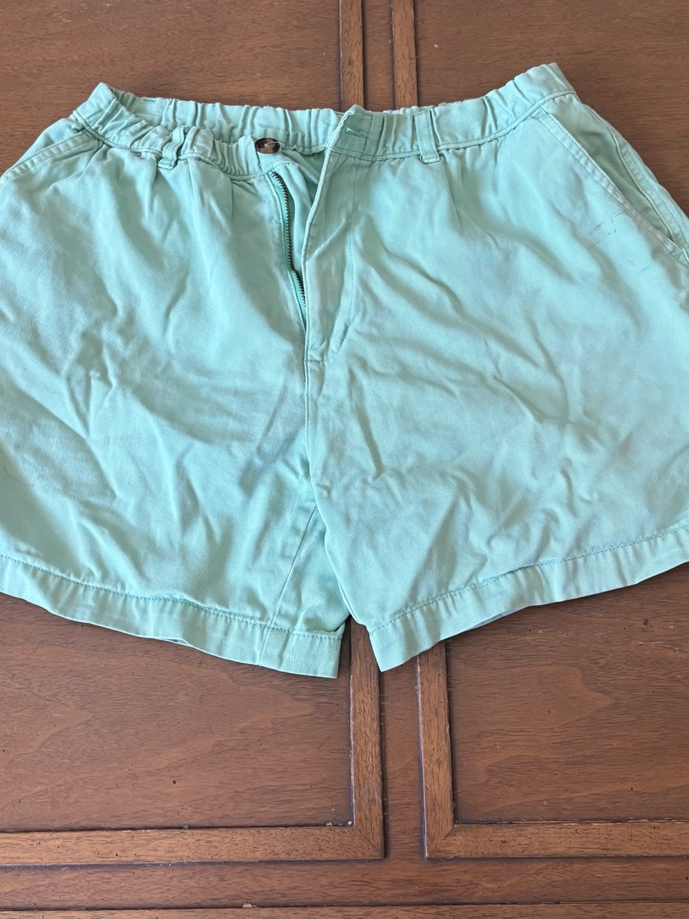 Men's Lightweight Mint Green Shorts - Classic Everyday Style